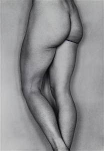 Image description is not available for 1999.003